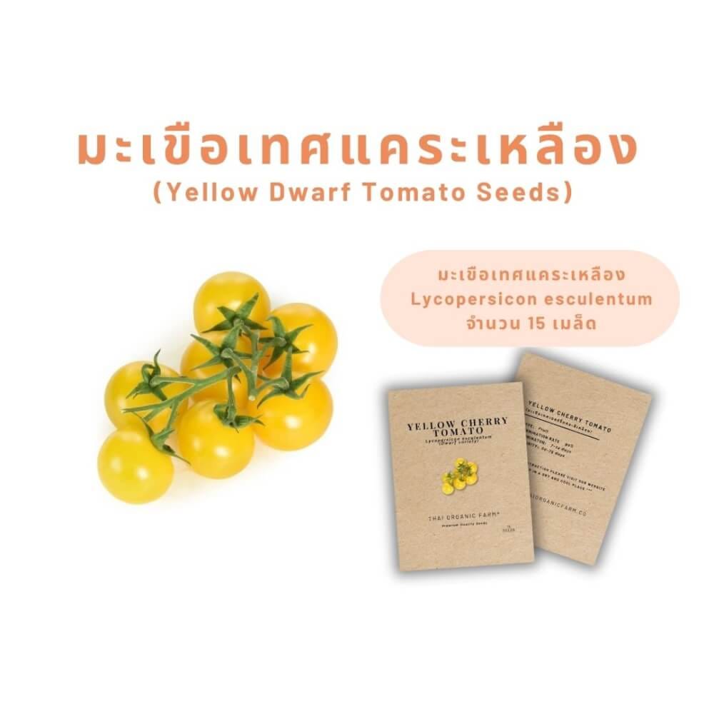 เมล็ดพันธุ์มะเขือเทศแคระเหลือง LETPOT ไทย ออแกนิค ฟาร์ม